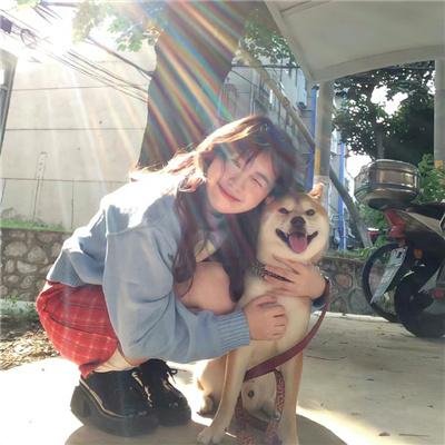 狐狸捕手