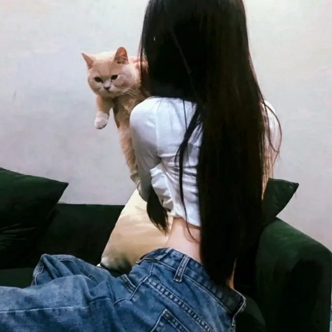 迫降乌江